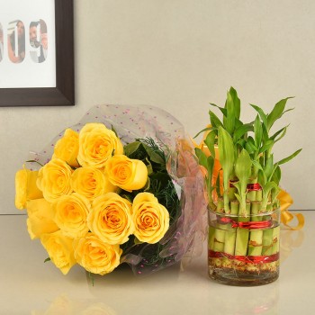 Gift Flower Combo 301