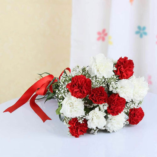 Bunch-of-12-Mixed-Carnations