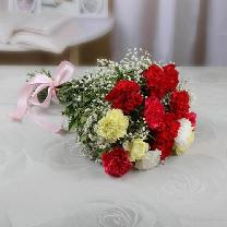 Bunch Of 15 Mix Carnations