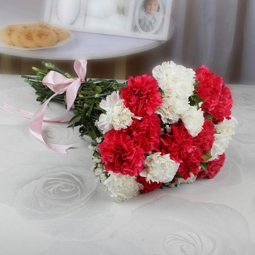 Bunch-of-Red-and-White-Carnations