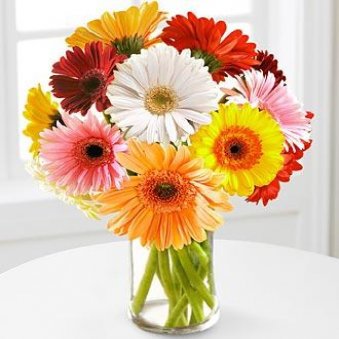 12 Mix Gerberas With Vase