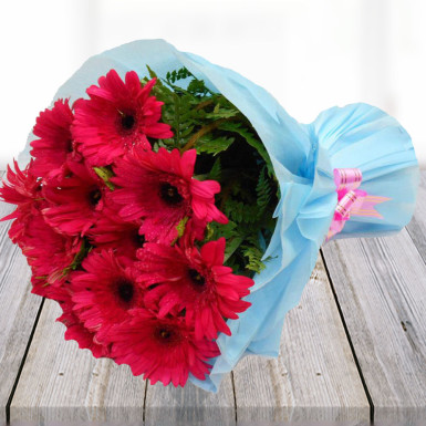 12 Red Gerberas