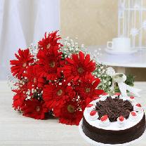 10 Red Gerberas And 1-2 KG Black Forest