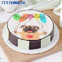 Birthday Photo Cake